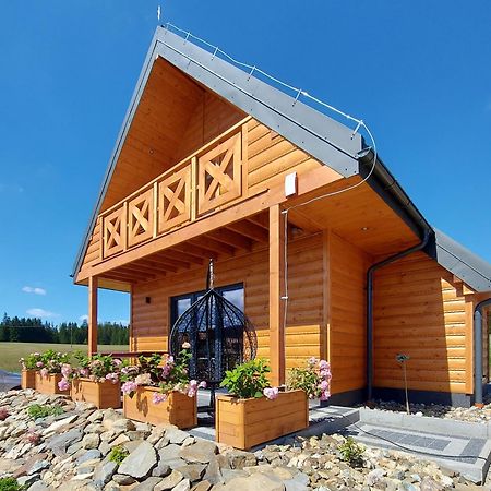 Osada Orlica Klimatyczne Domki Z Widokiem Na Gory I Termalnym Spa Sauna Jacuzzi 4 Km Od Zieleniec Ski Arena Lasowka Zewnętrze zdjęcie