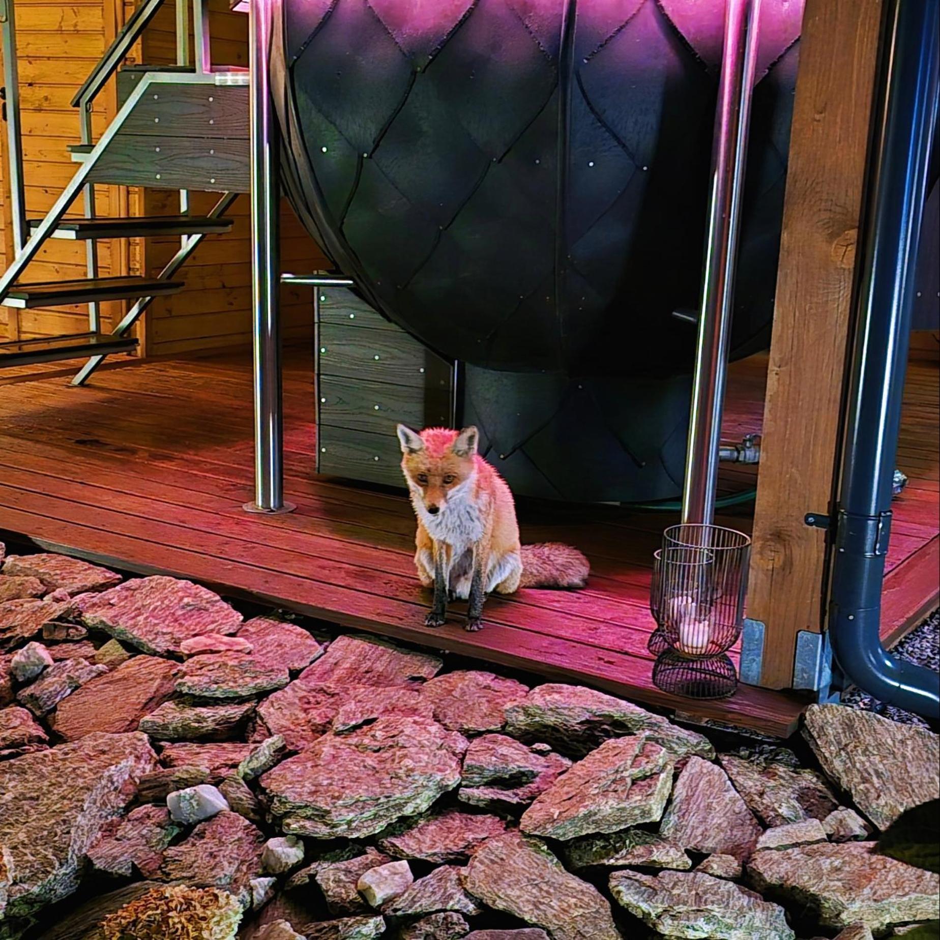 Osada Orlica Klimatyczne Domki Z Widokiem Na Gory I Termalnym Spa Sauna Jacuzzi 4 Km Od Zieleniec Ski Arena Lasowka Zewnętrze zdjęcie